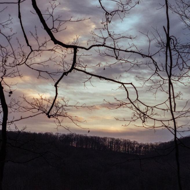 Judson Newbern on Conserving Nashville’s Highland Rim Forest